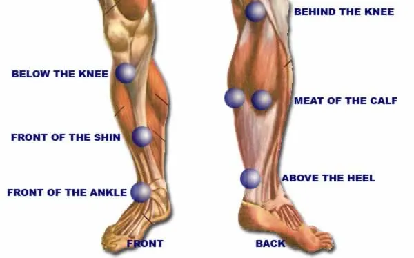 Walking Tall: The Role of Chiropractic Care in Alleviating Leg Pain