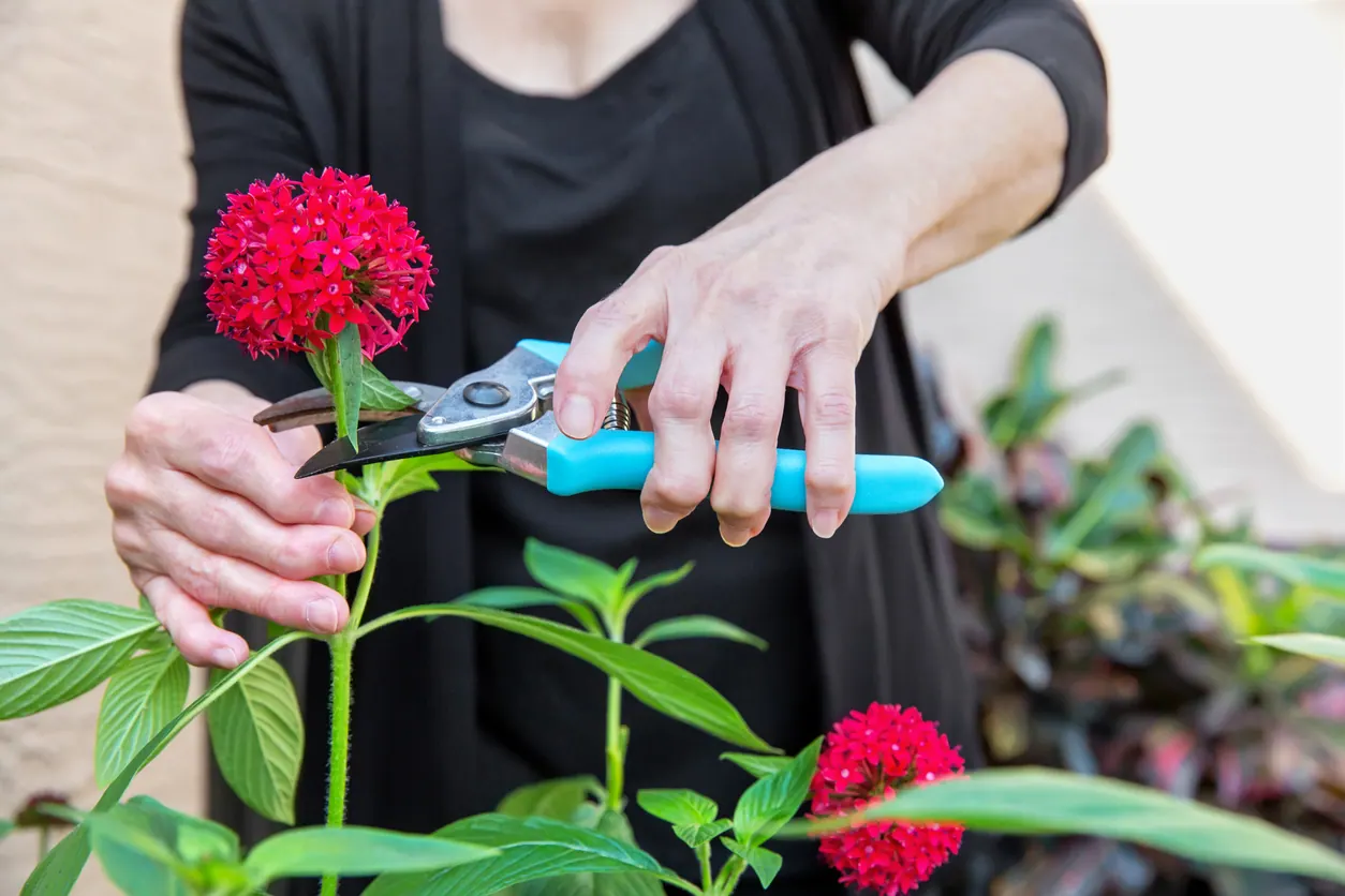 woman cutting flower has autoimmune disease
